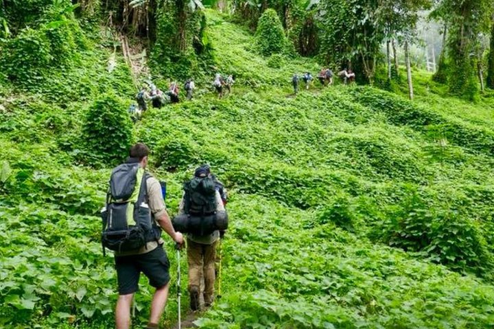 ADVENTURE KOKODA 10-Day Premium Kokoda Campaign Trek Australian Led