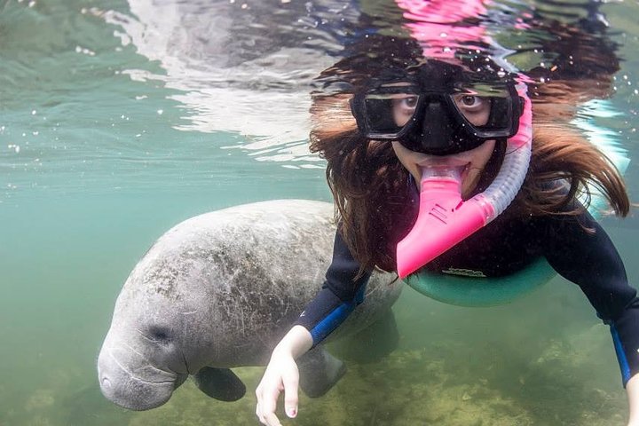 Most Popular 3hr Manatee Swim Tour + In-Water Guide!