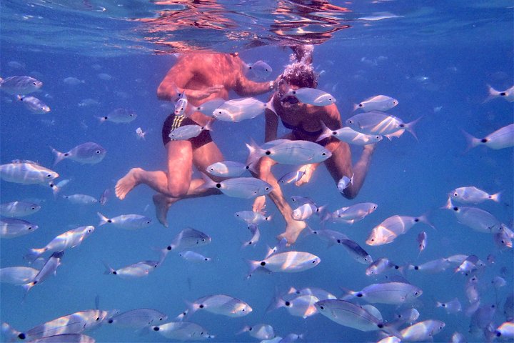 Tropea to Capo Vaticano, the Best Boat Tour. Max 8-12 Passengers