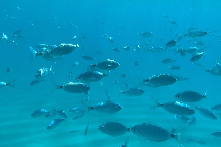 Tropea & Capo Vaticano Boat Tour with Snorkeling. Up to 12 Guests