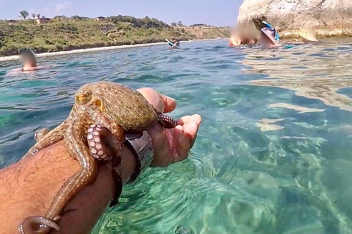 Tropea & Capo Vaticano Boat Tour with Snorkeling. Up to 12 Guests