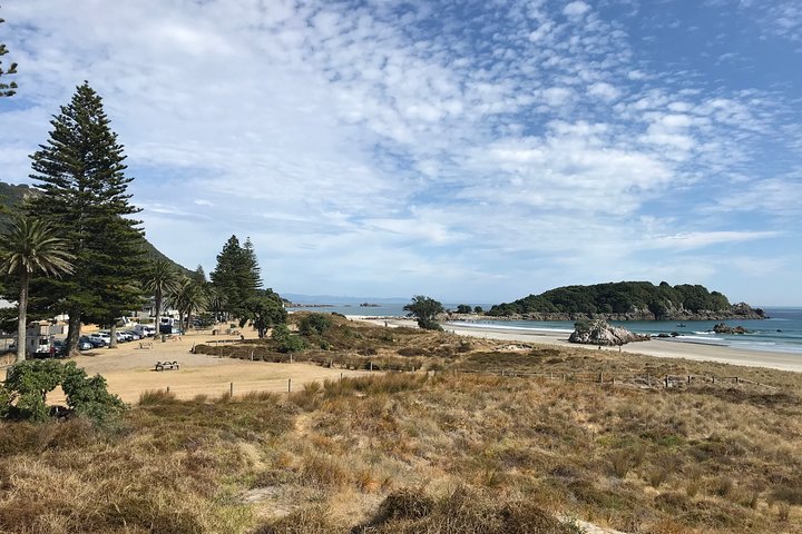 Tauranga City & History Scenic Tour – 2 Hours