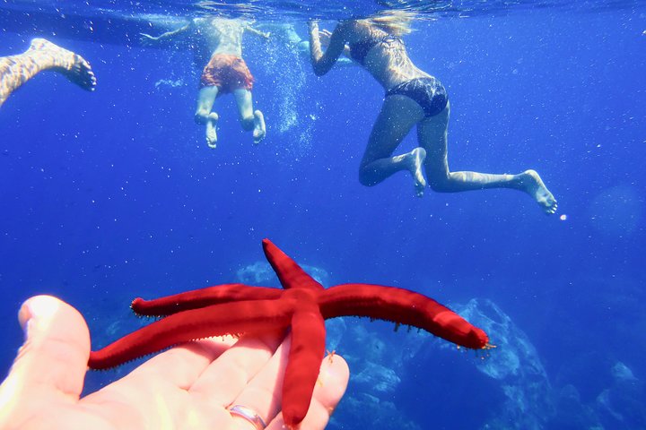 Tropea & Capo Vaticano Boat Tour with Snorkeling. Up to 12 Guests