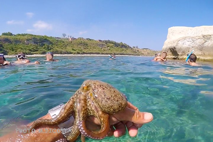 Tropea, Exclusive Boat Tour - Just you and your Family - 4 hours