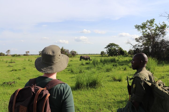 Ziwa Rhino Walking Safari Experience
