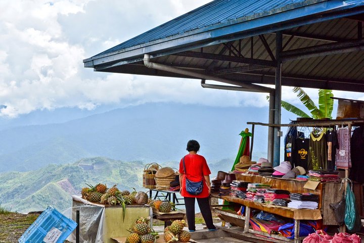 Kinabalu Park & Poring Hot Springs Tour with Desa Dairy Farm