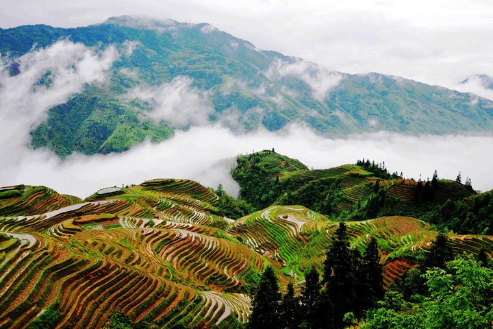 Private Day Tour to visit Longji Rice Terraces and Long Hair Village