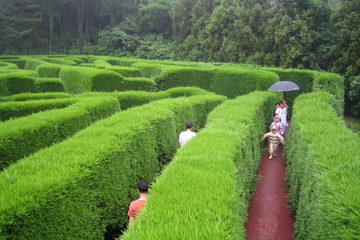 Full Day Customizable Jeju Private Tour with licensed tour guide