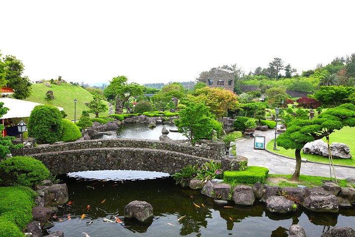 Full Day Customizable Jeju Private Tour with licensed tour guide