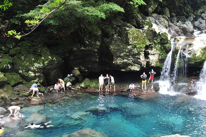 Full Day Customizable Jeju Private Tour with licensed tour guide