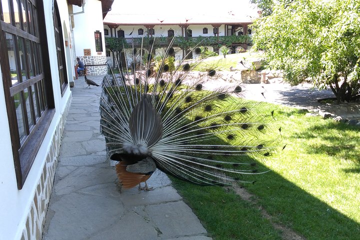 Private Day Trip to Hissarya & Starosel from Plovdiv