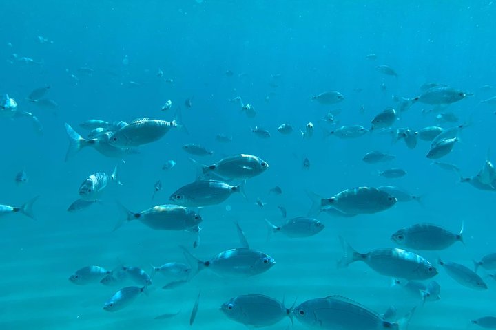 Tropea, Exclusive Boat Tour - Just you and your Family - 4 hours