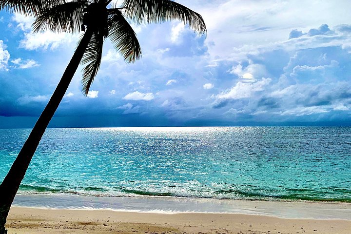 Seychelles Island Tour (PRIVATE 4 hours or 8 Hours)