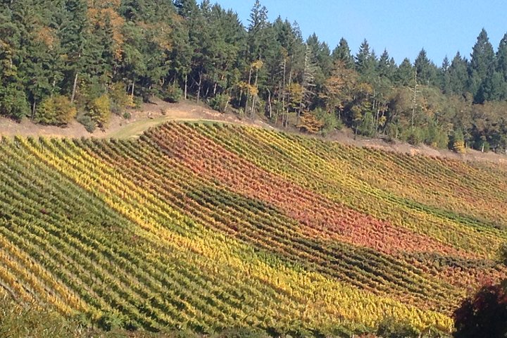 Private Wine Tour with Tastings from Eugene