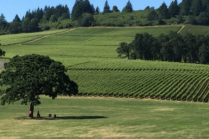 Private Wine Tour with Tastings from Eugene