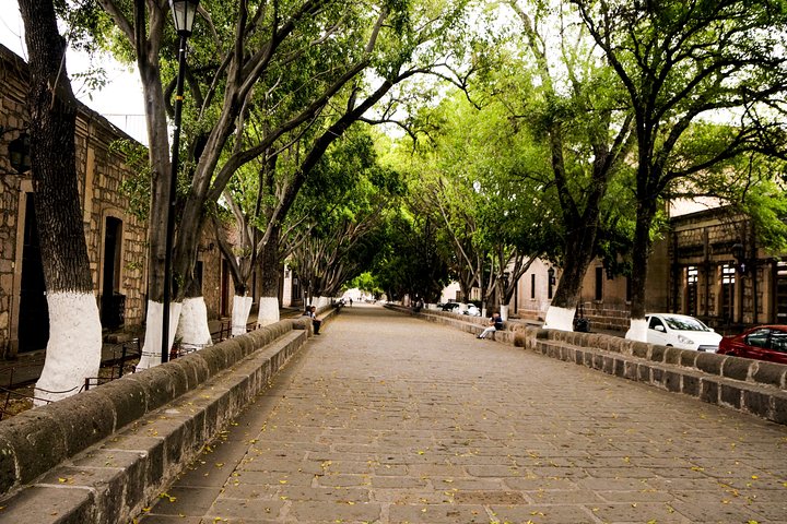 Morelia City Tour