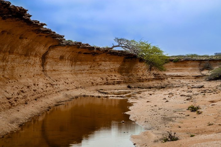 Bhuj to Narayan Sarovar Sanctuary Private Day Tour
