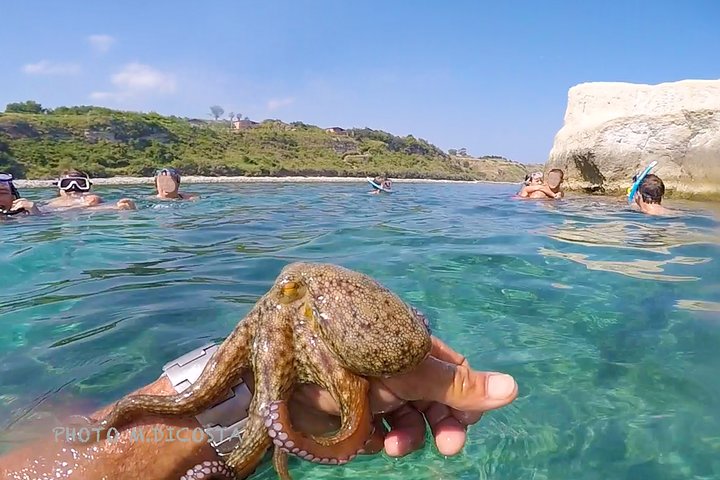 Tropea. Your Private Luxury Boat Tour. Max 10 Guests. TOP!