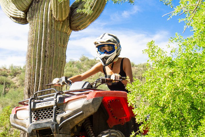 Guided Arizona Desert Tour by ATV - Centipede Tour