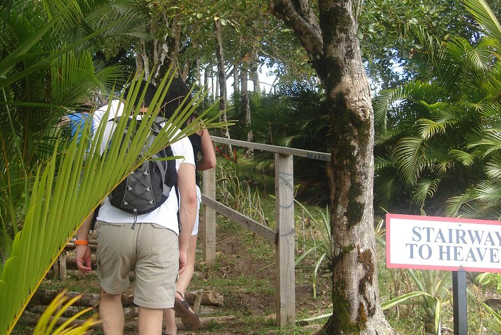 The Best of Saint Lucia Tour