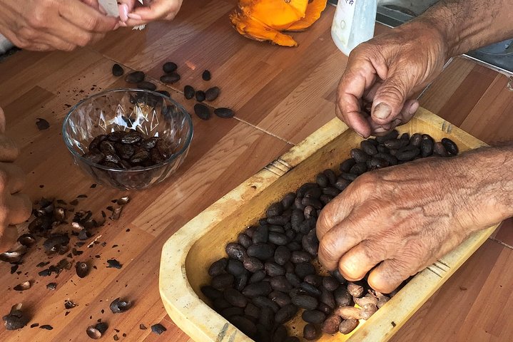 Churute Mangrove Ecological Reserve and Cocoa Farm