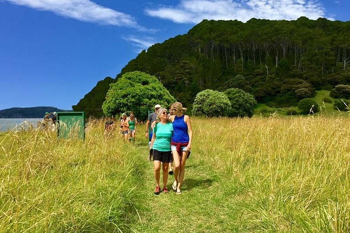 Bay of Islands Cruise & Island Tour - Snorkel, Hike,Swim,Wildlife