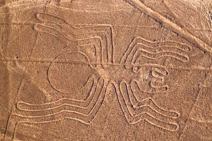 Nazca Lines Overflight Tour from Nazca