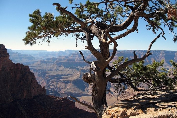 Grand Canyon South Rim Day Trip from Flagstaff