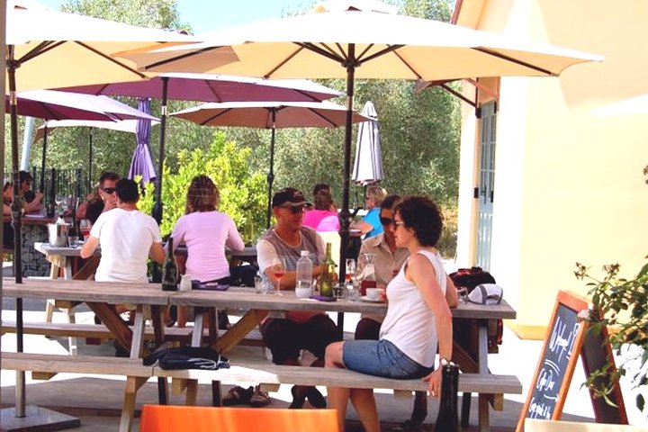 Hawkes Bay Wineries Self-Guided Electric Bike Tour