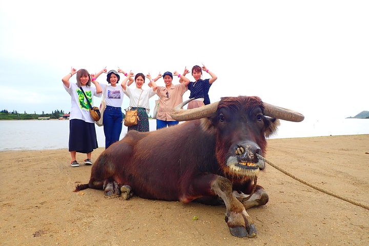 Okinawa Iriomote SUP or Canoe and Sightseeing in Yubujima Island