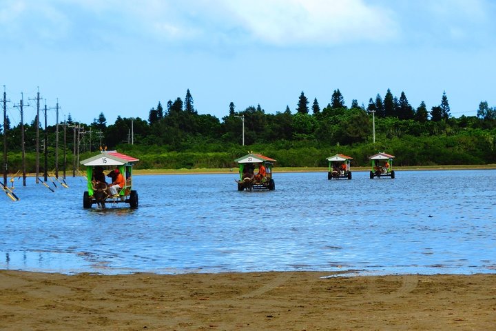 Okinawa Iriomote SUP or Canoe and Sightseeing in Yubujima Island