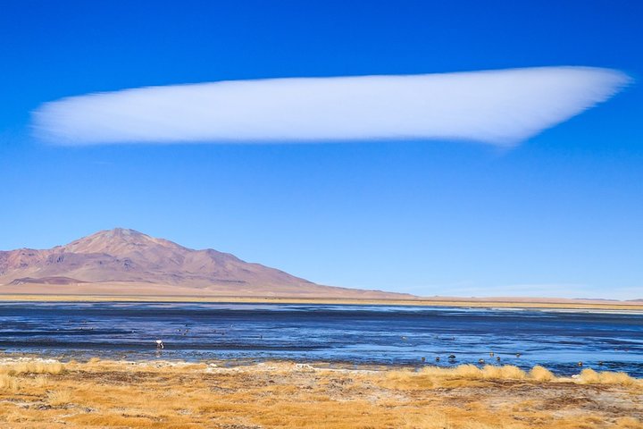 4-Day Atacama Desert Experience with Hotel, Tours & Meals