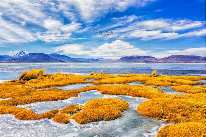 4-Day Atacama Desert Experience with Hotel, Tours & Meals