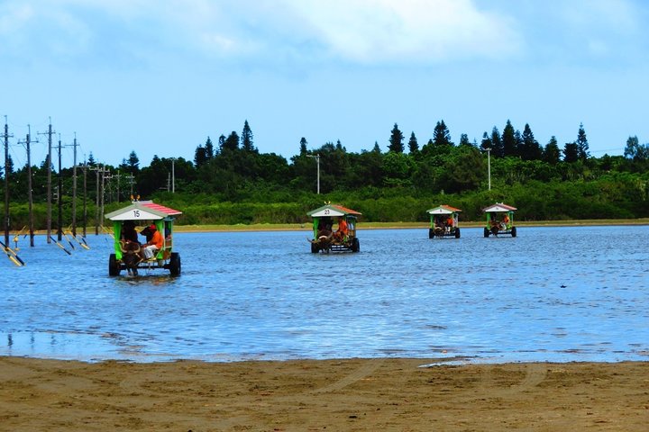 Okinawa Iriomote Barasu Snorkeling and Yubu Sightseeing