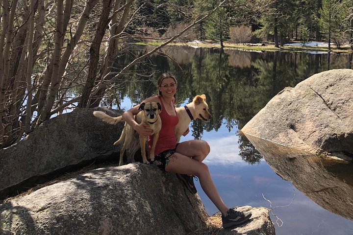 Big Bear Jeep off-road tour with Hike to Bluff Lake Reserve