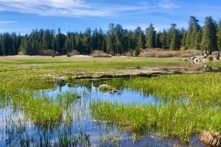 Big Bear Jeep off-road tour with Hike to Bluff Lake Reserve