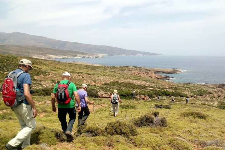 Small-Group Guided Hiking Tour in Andros with picnic on the beach