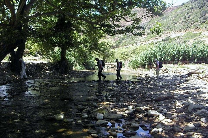 Small-Group Guided Hiking Tour in Andros with picnic on the beach