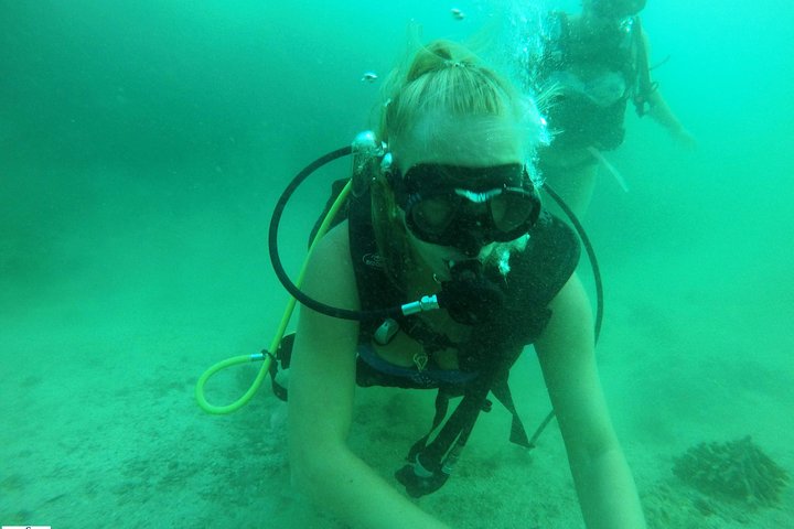 Discover Scuba Diving in Fujirah Dibba