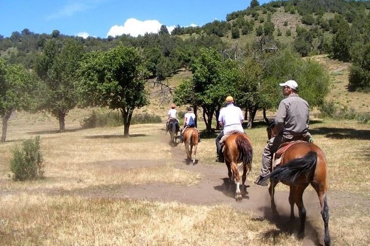 Horseback Riding Tour: Lanin National Park and Mapuche Culture