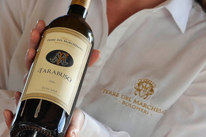 Bolgheri: Classic Wine Tasting with Winery Tour