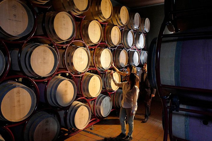 Bolgheri: Classic Wine Tasting with Winery Tour
