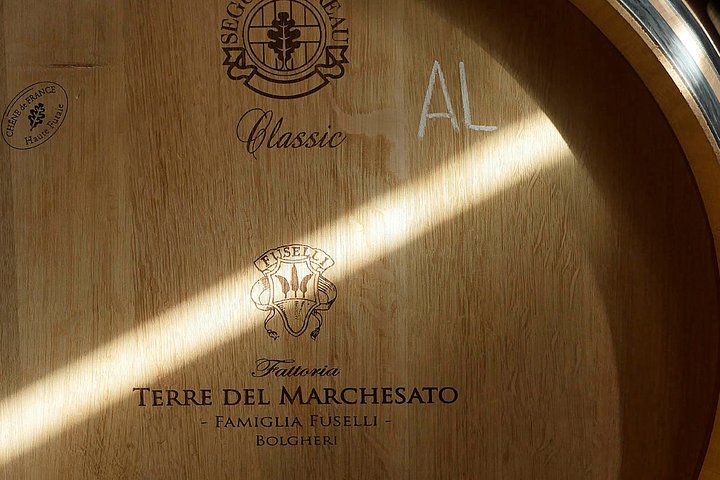 Bolgheri: Classic Wine Tasting with Winery Tour