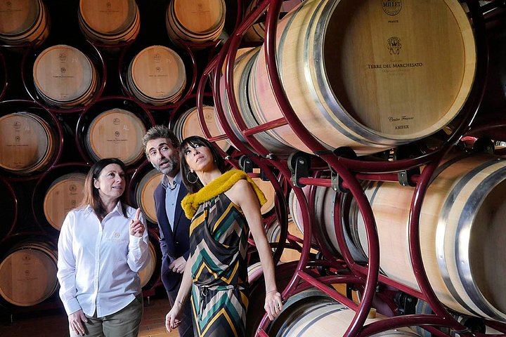 Bolgheri: Classic Wine Tasting with Winery Tour
