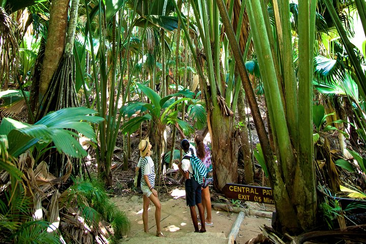Vallee de Mai Tour (From Praslin)