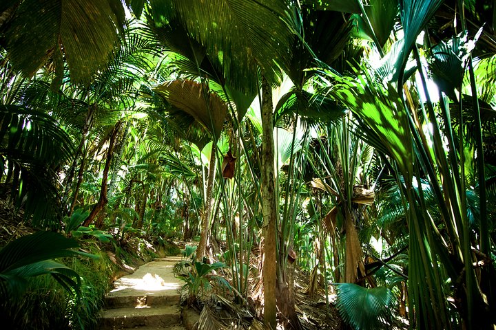 Vallee de Mai Tour (From Praslin)