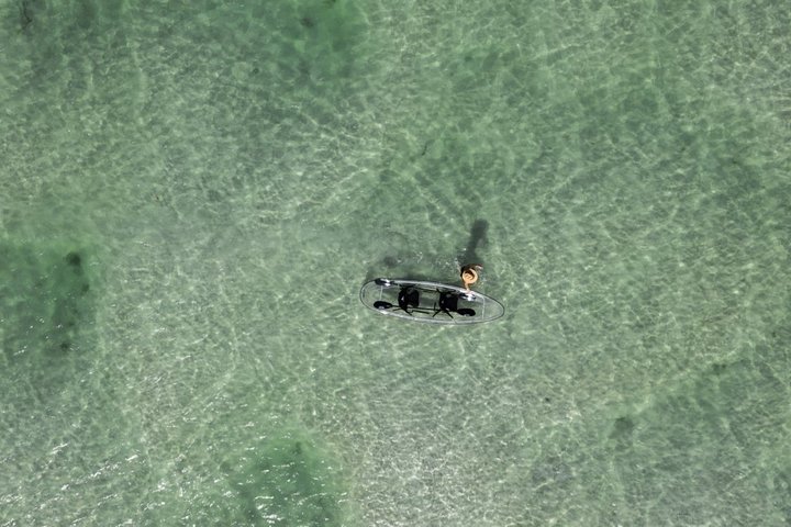 Clear Kayak Tour of Shell Key Preserve and Tampa Bay Area