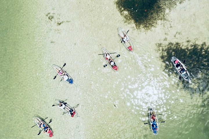 Clear Kayak Tour of Shell Key Preserve and Tampa Bay Area