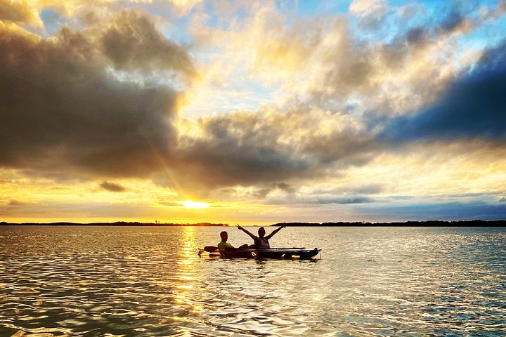 Clear Kayak Tour of Shell Key Preserve and Tampa Bay Area