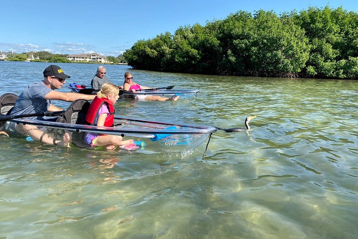 Clear Kayak Tour of Shell Key Preserve and Tampa Bay Area